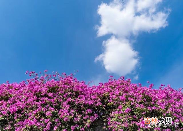 思念是一种自我的救赎 你是我永远的心上人，想你，余生只想和你在一起朝夕与共！