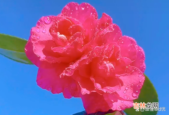 思念是一种自我的救赎 你是我永远的心上人，想你，余生只想和你在一起朝夕与共！