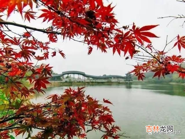 爱一个远方的人 爱一个远方的人，当相思来袭时，心中曾经的那些美好