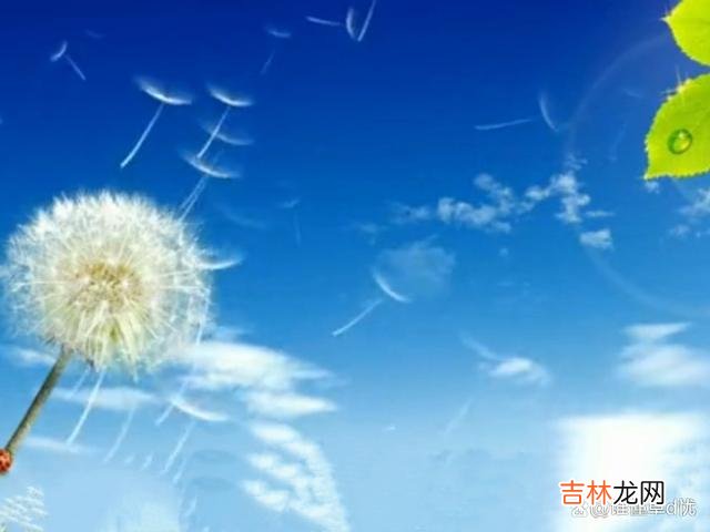 一寸相思情 一寸相思情，便能温蕴出万千的宠爱，那是只对心爱之人才有的温柔