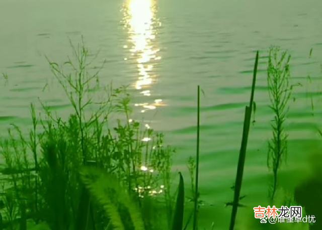 爱着远方的人 爱你心里溢满了深情，想你在回忆与怀念中渴望着你陪