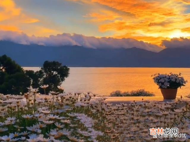 流转的时光里 爱你情深入骨，想你陪却只能在梦里与你相见