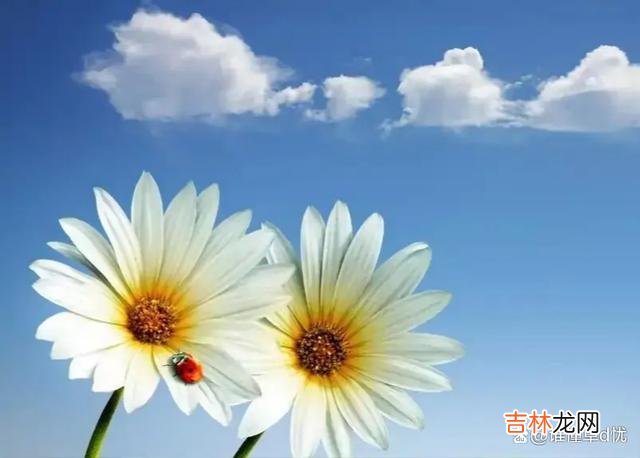 你在我心里 你在我心里，我爱你爱不够，入心的你是我永远的归宿