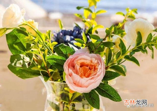 你在我心里 你在我心里，我爱你爱不够，入心的你是我永远的归宿