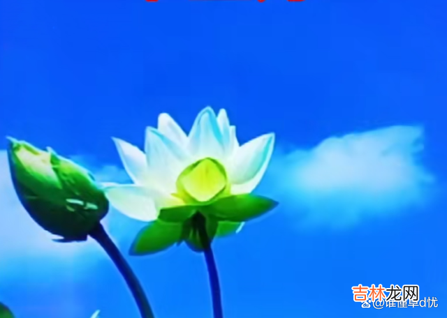 心里真爱一个人 想你，余生只为你一人温柔，和你共度红尘，我的心里只有你！