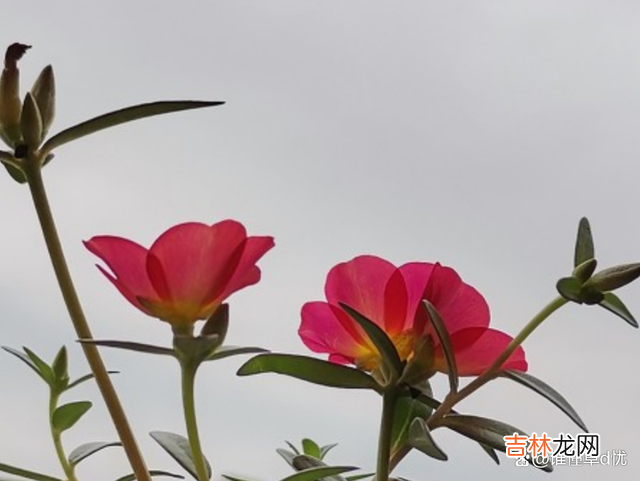 与你相爱 与你相爱，一生珍惜，人生有你相伴，未来的路无论有多艰辛