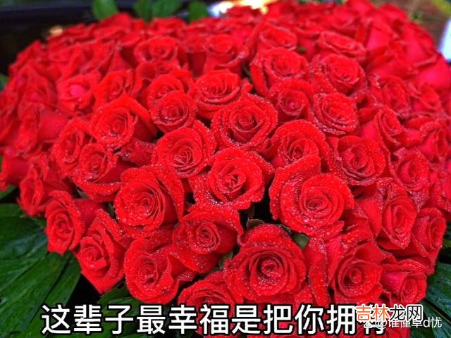 茫茫人海中 漫漫的人生路上，爱与被爱，想与被想，都是幸福!