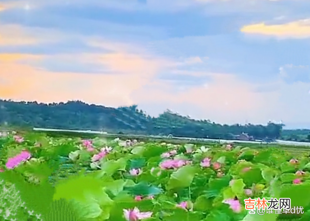 想你依赖你,你的出现对我而言,恰似雪中送炭!