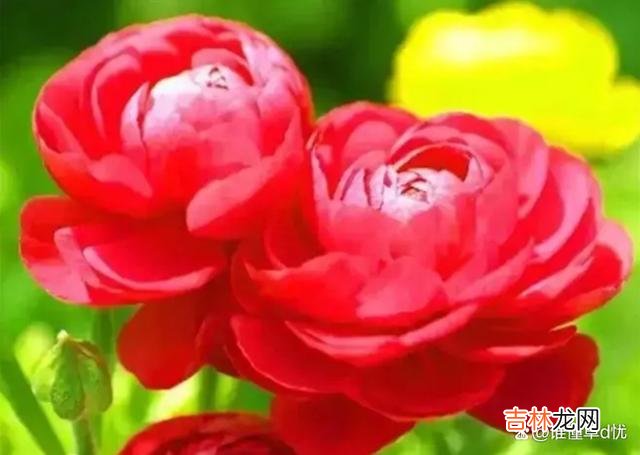 想你，人生有你陪伴，余生无论何时都不再孤单