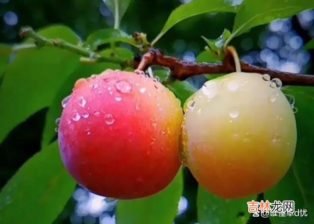 想你，人生有你陪伴，余生无论何时都不再孤单