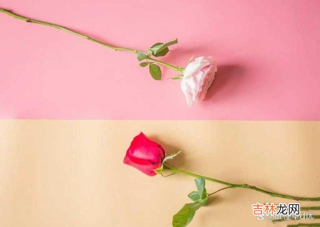 你给我一片深情,我许你永相伴,住在我心里的你