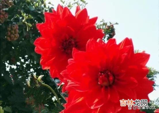 住进心里的人，是永远的最爱，心有所属，温柔如潮
