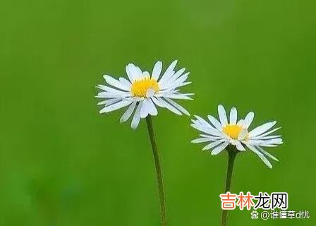 住进心里的人，是永远的最爱，心有所属，温柔如潮