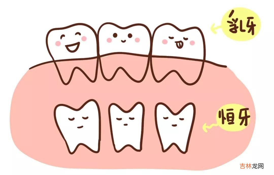乳牙没掉里面又长新牙怎么办  乳牙没掉里面又长新牙解决方法