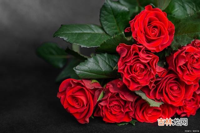 一日一日 你是记忆深处如初的温婉，是我灵魂深处永恒的眷恋