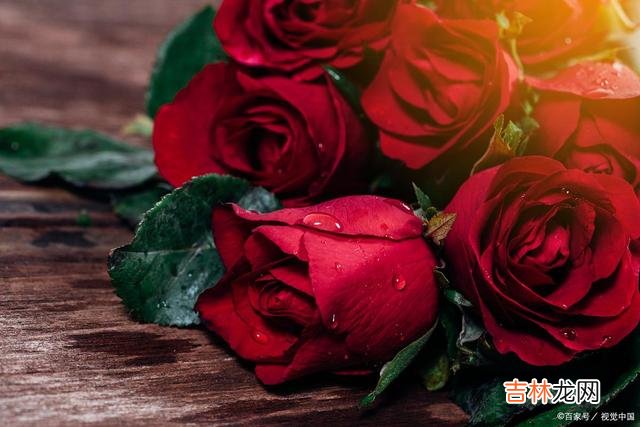 一日一日 你是记忆深处如初的温婉，是我灵魂深处永恒的眷恋
