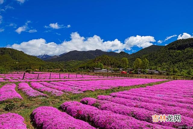 和你之间的相逢 不管再过多少年，你永远是我心底的念念不忘，爱你就像爱生命！