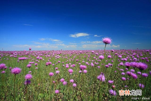 从前 我真的爱你，愿在心灵世界里为你续写生死契阔的美丽