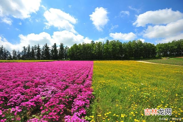 从前 我真的爱你，愿在心灵世界里为你续写生死契阔的美丽