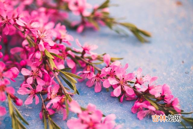 只因人海中那一场相逢 思也是你，念也是你，无缘夫妻，就在心里陪伴你