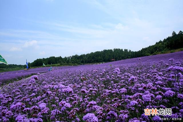 凝眸 你在我心里，幽居，一日不见，也思量千遍