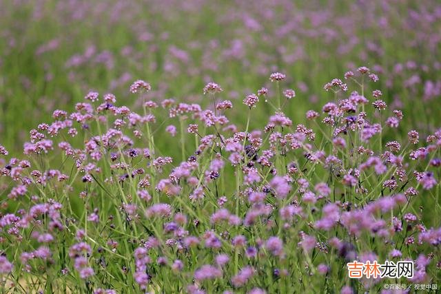 凝眸 你在我心里，幽居，一日不见，也思量千遍