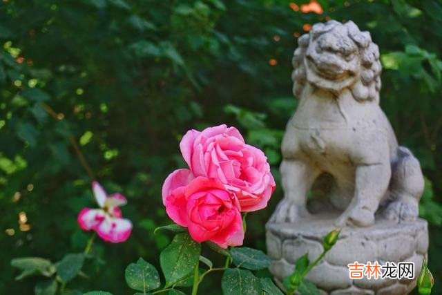 一个人想你，一个人念你，一个人守着爱的悲欢