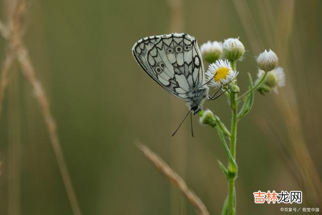 有一种落寞 爱过一场，一生难忘时光悠悠，一路向前，再也回不去