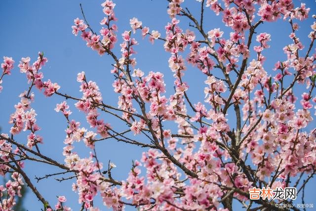 萧萧红尘 萧萧红尘，三千繁华，却似人间只因爱你深深，入骨成痴