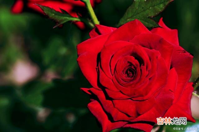 红尘万里路 红尘万物萧条，季节深处的冰寒让心忍不住牵挂起远方的你