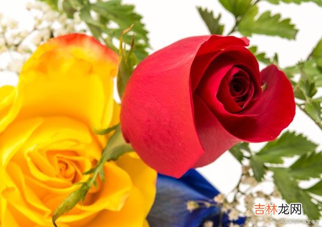 红尘万里路 红尘万物萧条，季节深处的冰寒让心忍不住牵挂起远方的你
