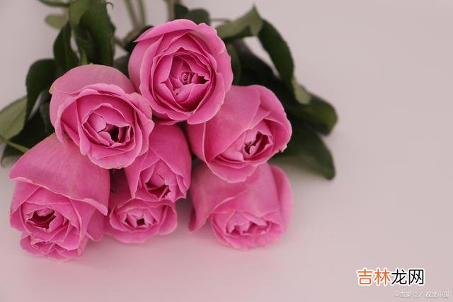 天还是从前的天 这一生到老，你永远都是我心中最爱的人