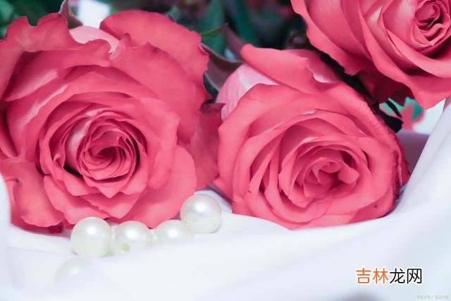 天还是从前的天 这一生到老，你永远都是我心中最爱的人