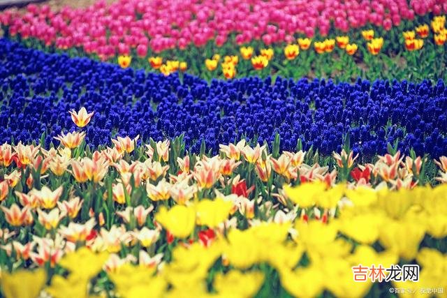 凉风摇落了季节深处的繁花似锦 爱过足矣，想着足够，此心不悔，此念不转！