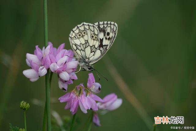 柔肠百转 有一种爱不扰不缠，深埋心海，化作了心底默默无声的想念