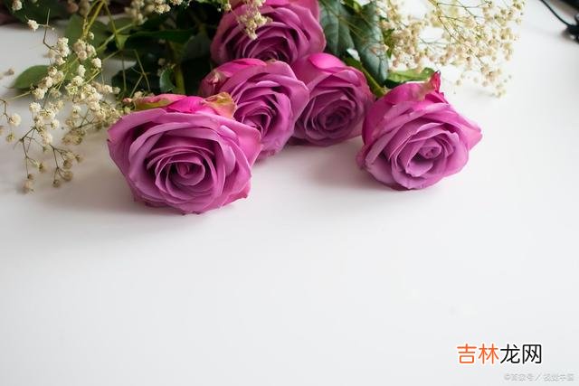 总在盼望 有一种爱，不说亦不忘，不见也暖暖的住在我心上