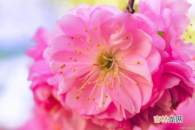 我静坐在夕阳下的田埂上 我爱的人，为你动心动情，此情念念不忘