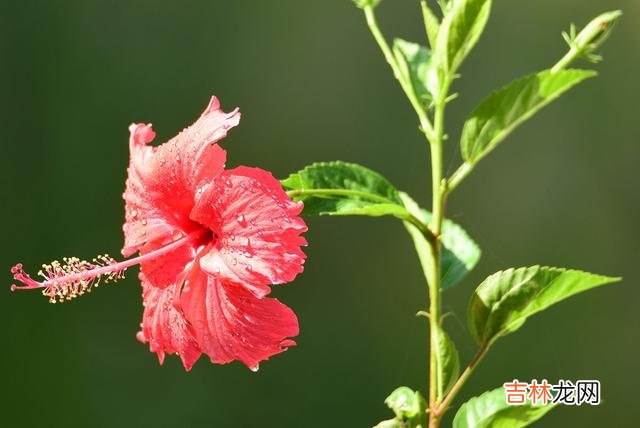 于茫茫人海中我遇见了你 于茫茫人海中我遇见了你，一个让我心动的你，一个惹我情牵的你