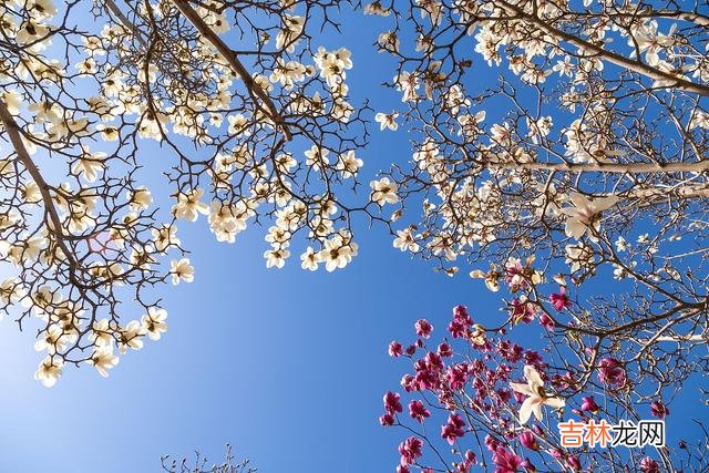 斯人若彩虹 相思写在笺上，写一封情书给远方的你