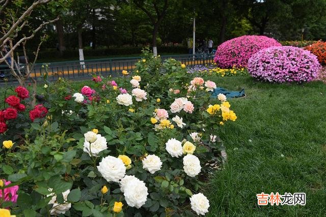 倚窗 感谢你来过我的世界，爱过的心无悔无怨你走过我的世界