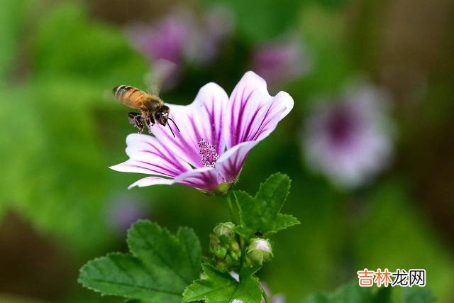 秋风 爱就一个字，一爱一辈子，缘分断了线，还有相思在心间