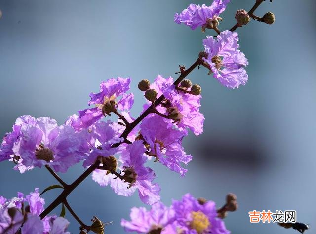 秋风 爱就一个字，一爱一辈子，缘分断了线，还有相思在心间