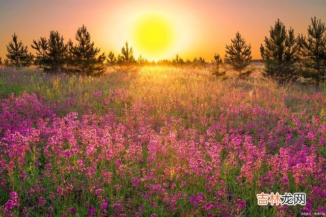 都说岁月匆匆 致梦中爱人：用情太深，所以难忘陪伴一程，挂念一生