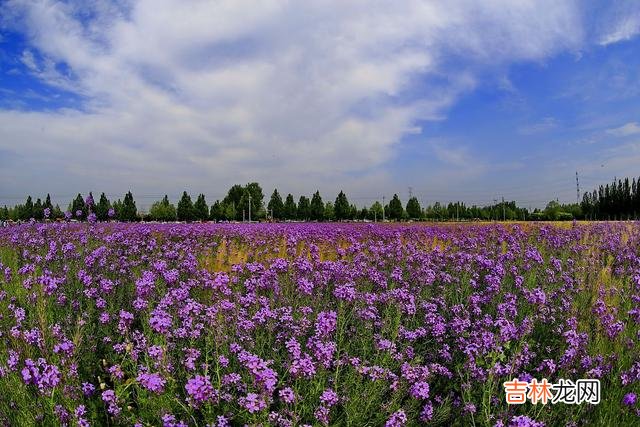 你临水而坐 谢谢你来过，朝思暮想、魂牵梦绕念一生