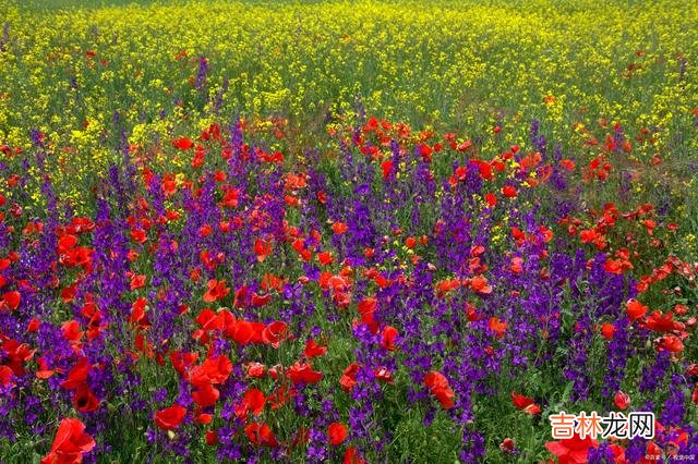 在一个人的安静时光里 好想你，曲终人散，情牵一世，彼此不扰，深爱一生好想你