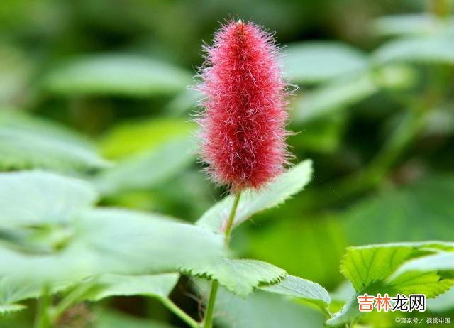 秋风簌簌 真正入了心的人，就算分离，也会在心里深爱一辈子