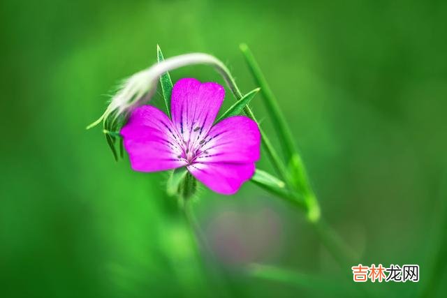 秋风簌簌 真正入了心的人，就算分离，也会在心里深爱一辈子