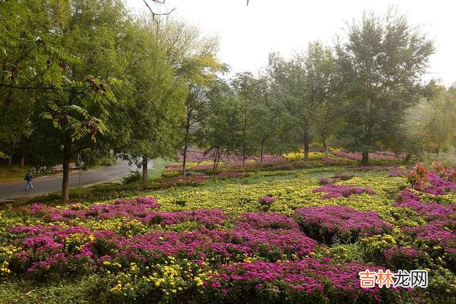 在那个很远很远的地方 这些年，你一直在我心里幽居，纵我放下天地万物，也舍不得放下你