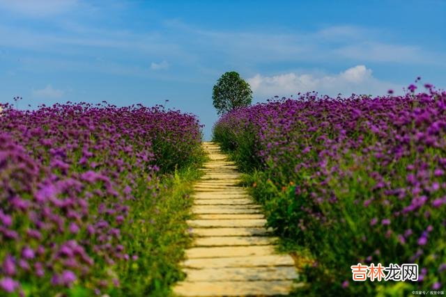 一重山 好想你，一场相逢，钟爱一人，一别人海，相思一世