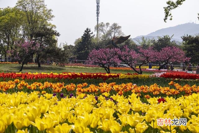 一重山 好想你，一场相逢，钟爱一人，一别人海，相思一世